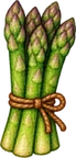 Asparagus — Harvest