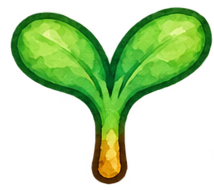 Carrots — Stage 2